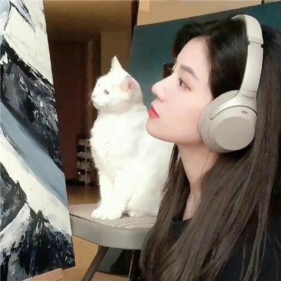 凤舞龙翔海报