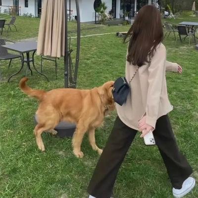 我的小公司海报