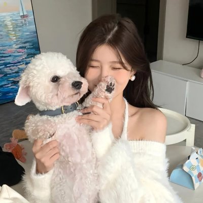 超级少女第四季海报